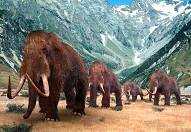 mammoth-1.jpg, 8 KB